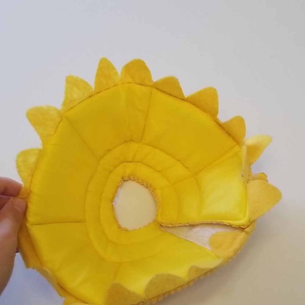 Sunflower pet cone